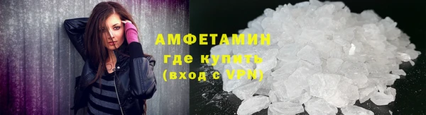 гидра Каменка