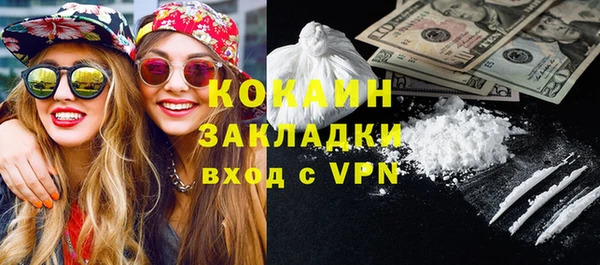 гидра Каменка