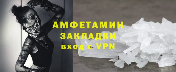 гидра Каменка