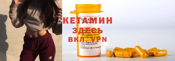 гидра Каменка