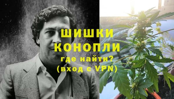 гидра Каменка