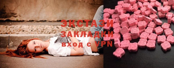 гидра Каменка