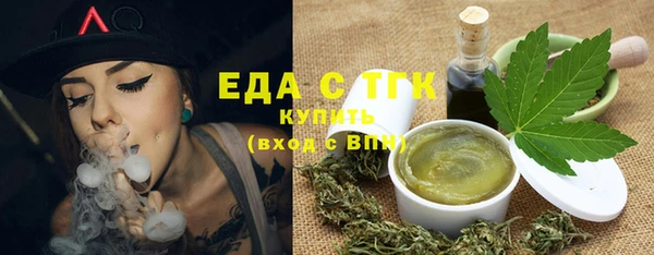 гидра Каменка