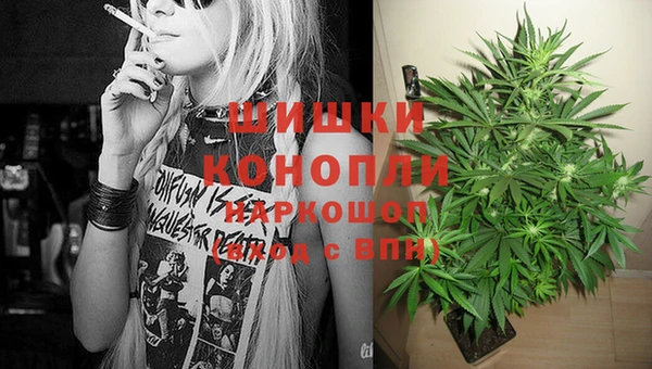 гидра Каменка