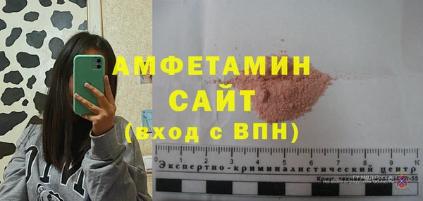 твердый Инсар